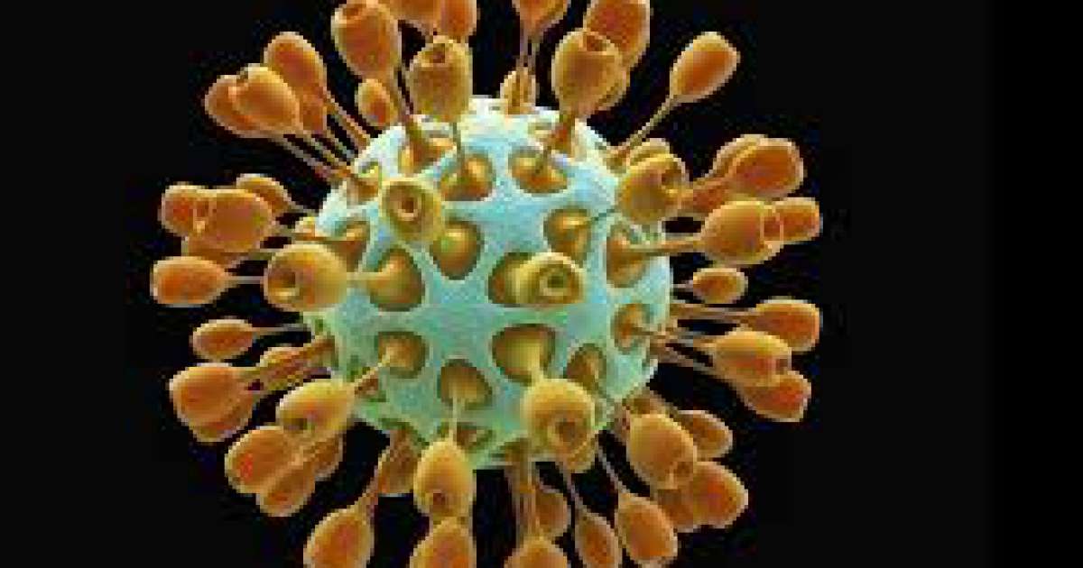 Coronavirus, in Puglia 66 nuovi casi: positivo il 4,56% dei tamponi